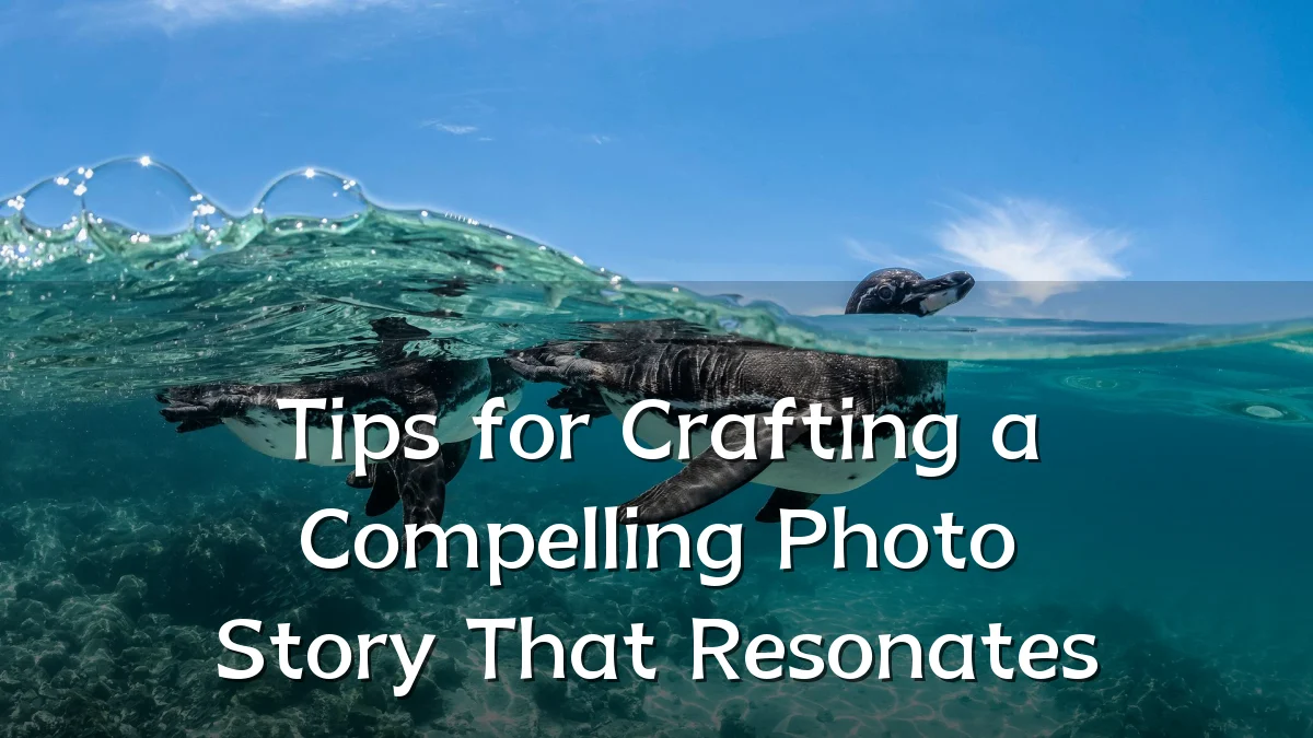 Tips for Crafting a Compelling Photo Story That Resonates