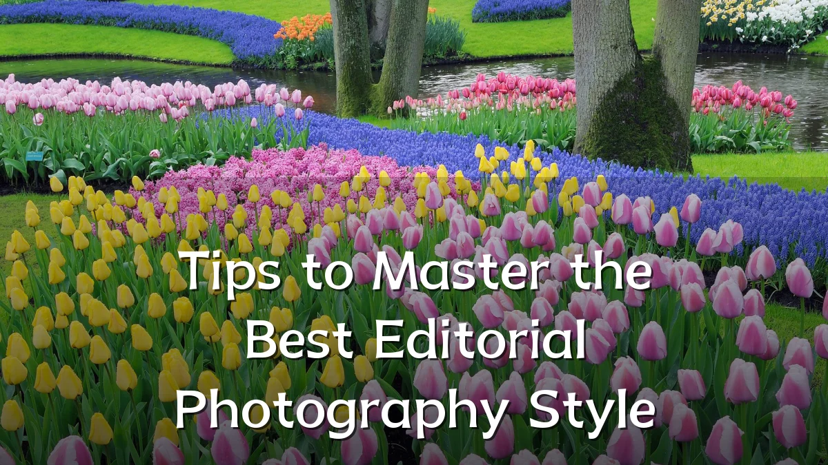 Tips to Master the Best Editorial Photography Style