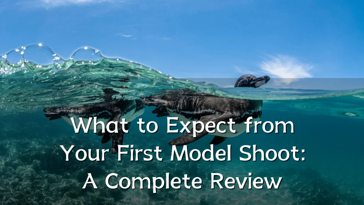 What to Expect from Your First Model Shoot: A Complete Review
